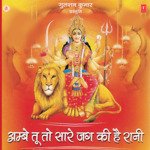 Ambe Tu To Saare Jag Ki Hai Rani - Nandu Honap Song Download